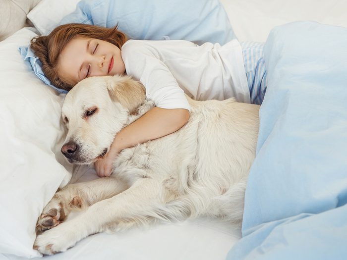 Sleeping Tips - Girl asleep in bed with white dog