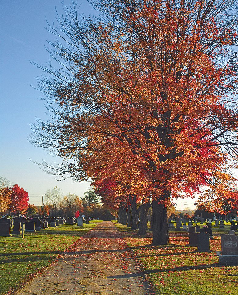 St. Columbas Cemetery in Pembroke, Ontario
