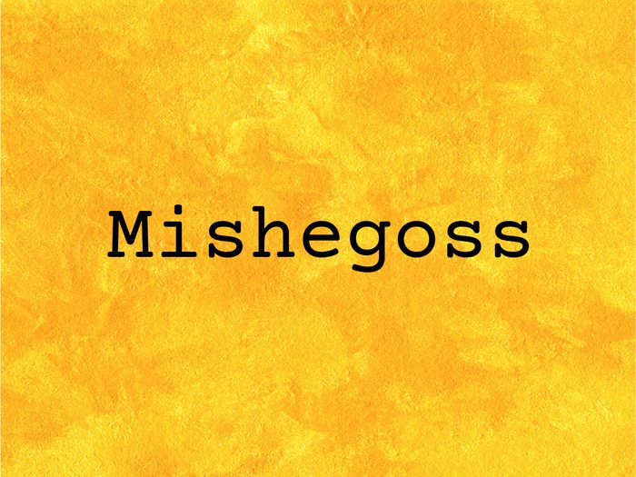 Mishegoss on yellow background