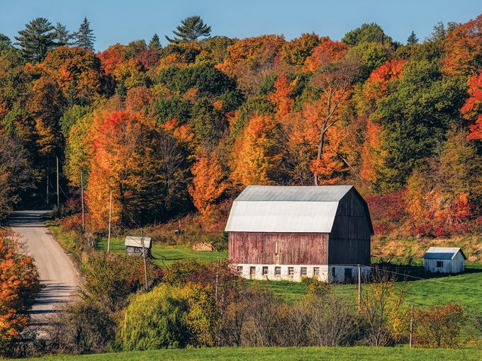 Quebec Farmhouse Fall Foliage
