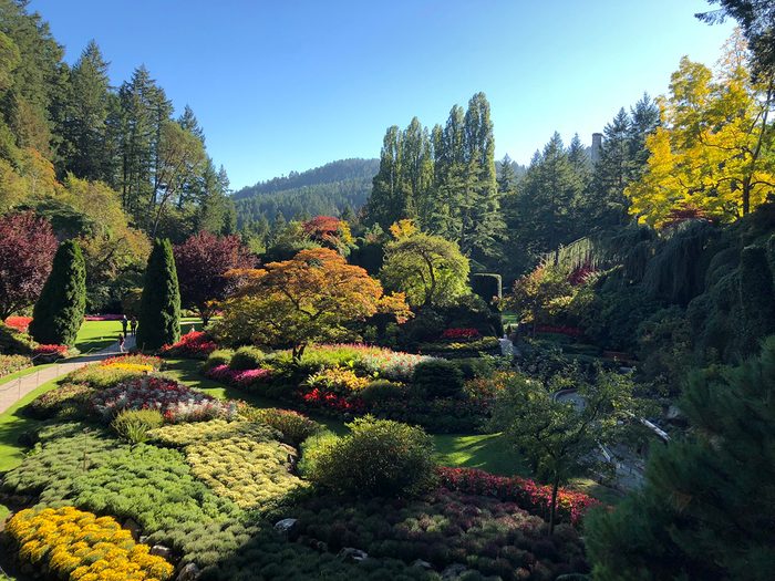 Things To Do In Victoria - The Butchart Gardens