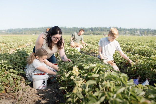 U Pick Farms - Family In Field