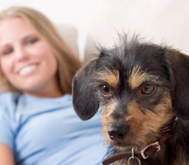 12 Pet Safety Tips