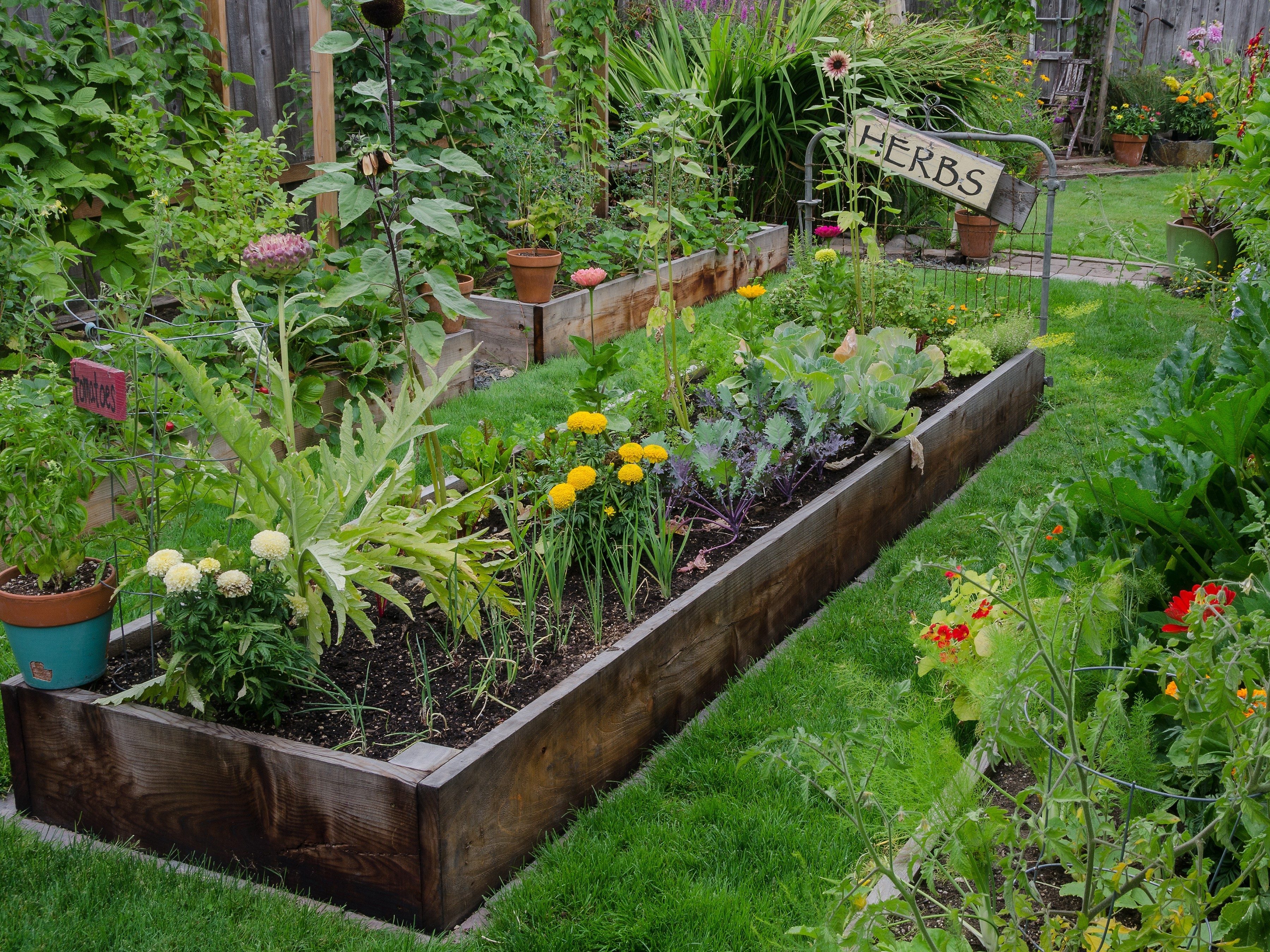  garden vegetable design ideas