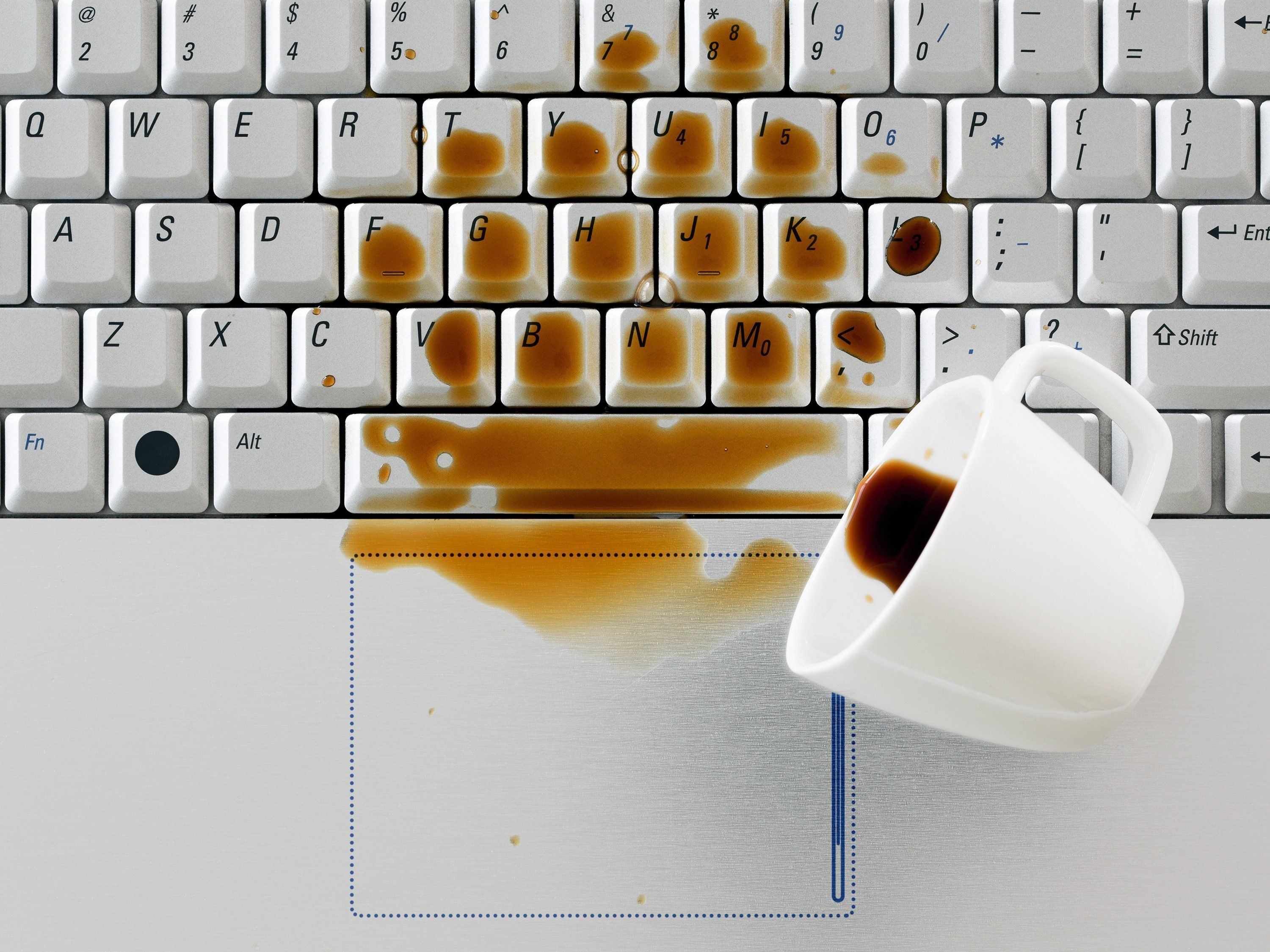 What To Do When You Spill Coffee On Your Laptop