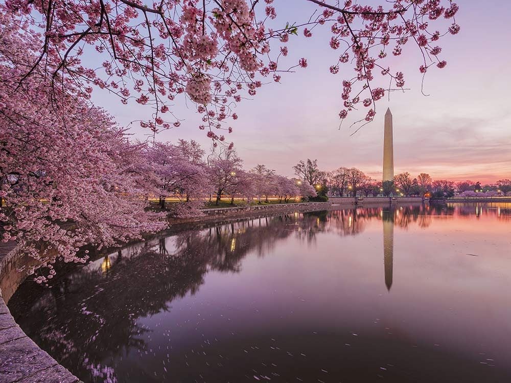 Awesome attraction,  American-spring-destinations-washington-1