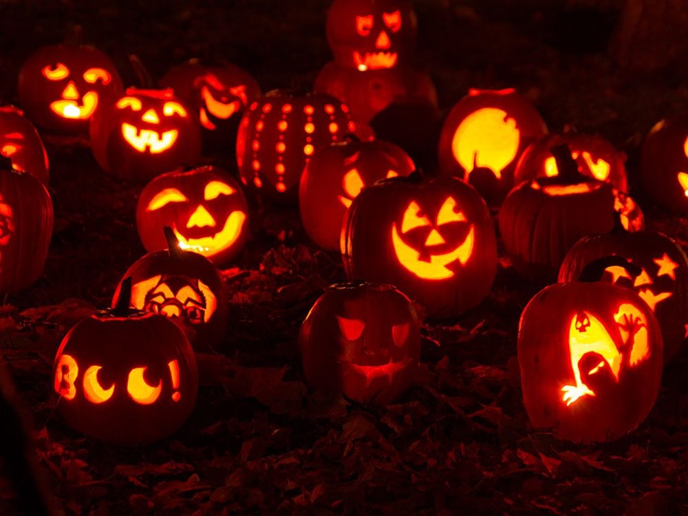 10 Tricks For a Long Lasting Jack  O  Lantern  This Halloween