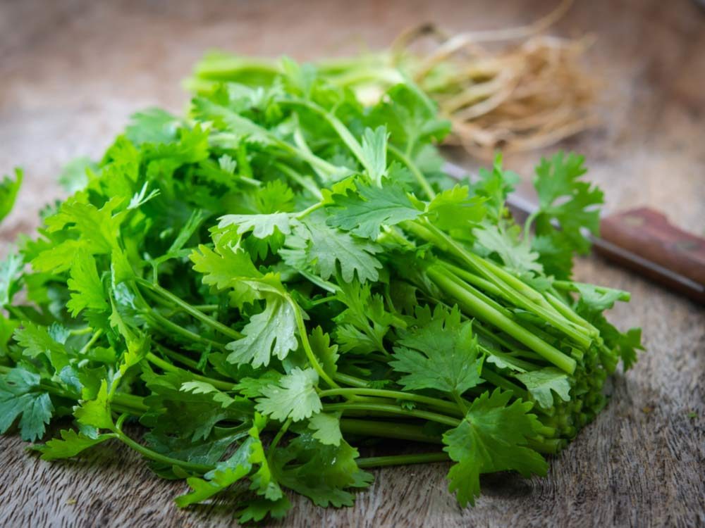 10 Powerful Parsley Health Benefits You Never Knew ...