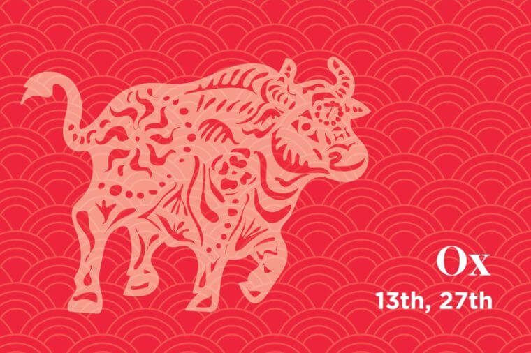 Chinese Zodiac 12 Animal Signs Calculator Origin App