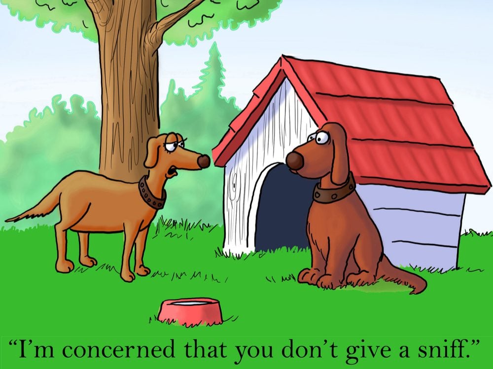 20 Dog Cartoons to Make Every Owner Chuckle | Reader's Digest